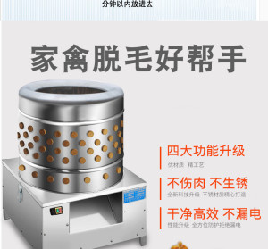 鄭州家禽脫毛機(jī) 高效不傷皮，助力家禽屠宰與肉類初加工現(xiàn)代化