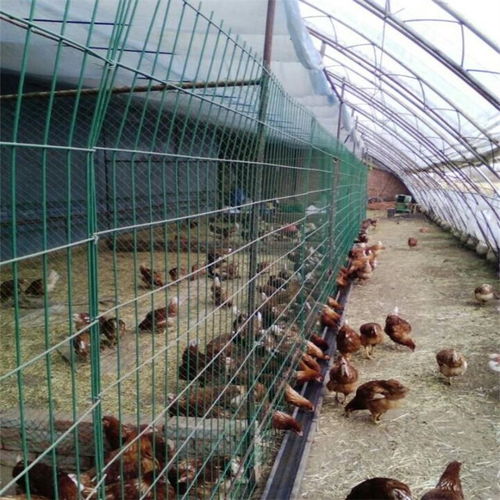家禽養殖圍欄網 選購要點、專業加工與合肥市場展望