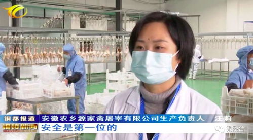 保供應，穩民生 銅陵標準化家禽加工企業提前復工促生產